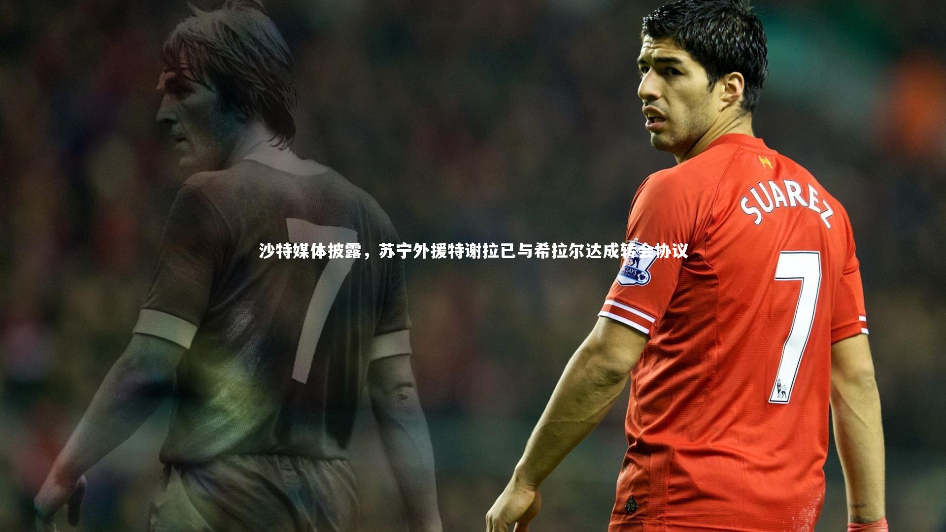 j9九游会官网_沙特媒体披露，苏宁外援特谢拉已与希拉尔达成转会协议